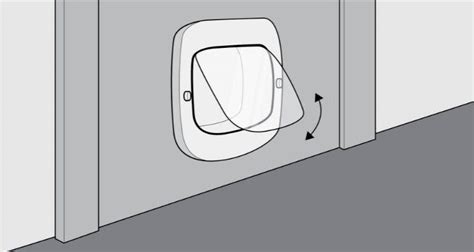 How To Fit A Cat Flap Step By Step Guide