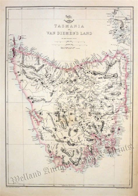 Tasmania Maps Archives - Welland Antique Maps