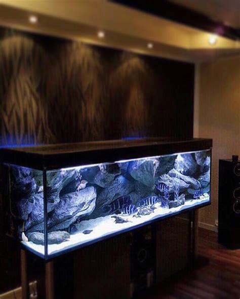 Aquadecor® (@aquadecor) • Instagram photos and videos | Fish tank ...