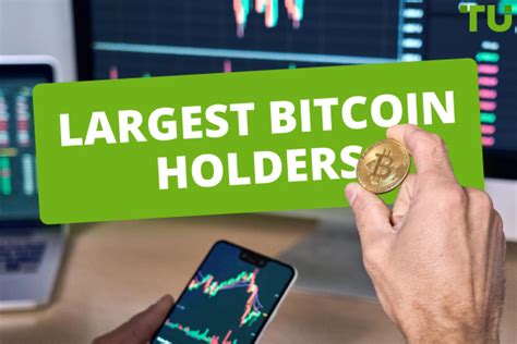 Who owns the most Bitcoins - top 15 holders