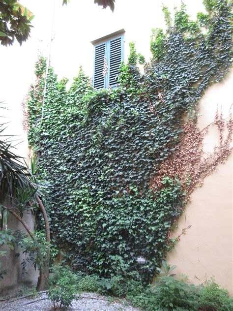 I DUE LEONI B&B - Reviews (Florence, Italy)