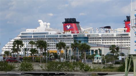 Port Canaveral Port Overview (Parking, Terminals, and Maps) | Cruzely.com