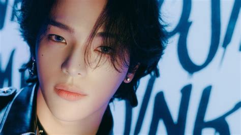 Hot Sexy Kim Jin Hwan Bikini Pics