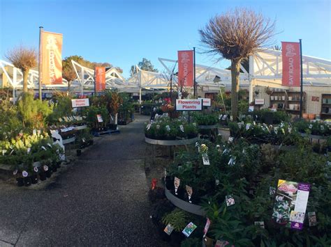 Bay Road Nursery Sandringham Whatsbest Australia