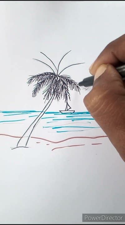 draw  coconut tree   beach relaxing beach scene