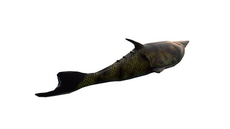 Atlantic Bluefin Tuna 3d Model By H3afdya