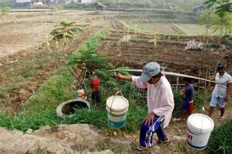 BPBD Jabar Imbau Masyarakat Waspadai Potensi Bencana Kekeringan Koran