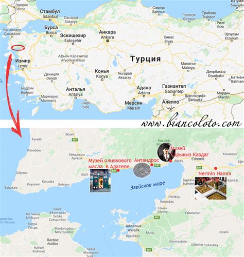Оливковое масло в Турции