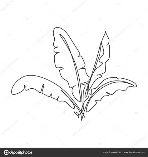 One Continuous Line Drawing Abstract Tropical Banana Leaf Minimal Natural Stock Vector Image By