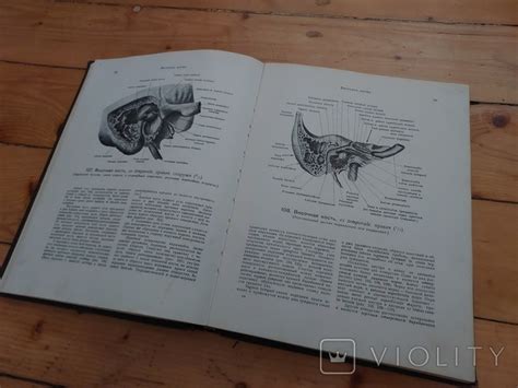 Атлас анатомии человека том 1. Воробьёв,Синельников 1946 (110158581 ...