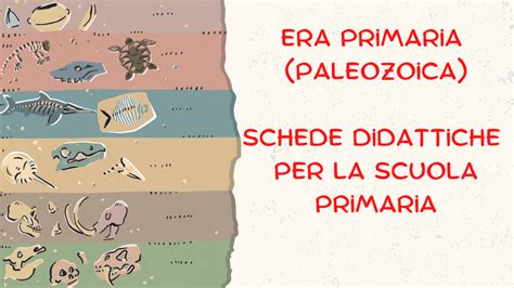 Le 5 ere geologiche della Terra: Schede Didattiche per la Scuola ... 