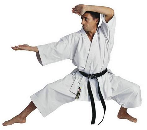 Кимоно для каратэ – Karate.ru