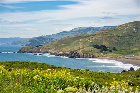 Meadows and View of the Pacific Ocean at Point Bonita, California, USA ...