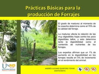 Practicas Basicas Para Al Producci N De Forrajes Ppt