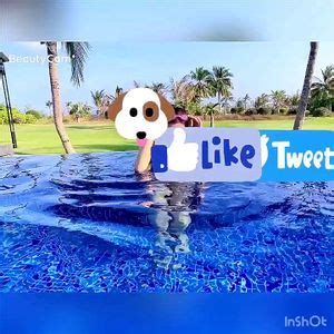 Watch meinv 女Meinv Meinvitoputaaaxx Amateur Porn SpankBang