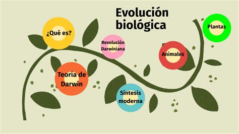 Mapa Conceptual De La Evolucion Biologica Mapapapa The Best Porn Website