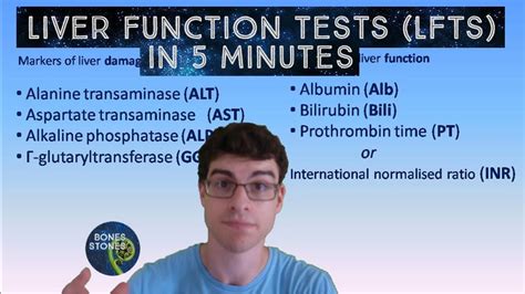 Liver Function Tests Lfts In 5 Minutes Youtube