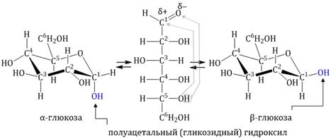 Расскажем о С чем реагирует глюкоза и целлюлоза