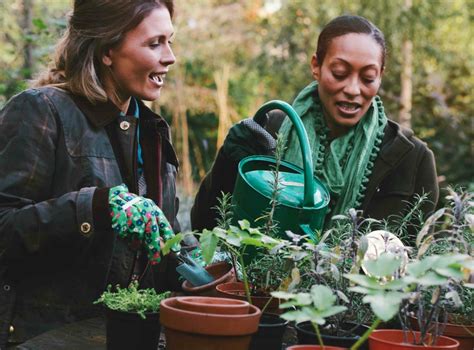 Using Herbal Medicine for Self-Care & Herbalism for Earth Care – Center ...