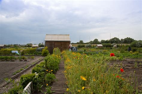 Les jardins ouvriers de la Porte de Lille de Calais récompensés