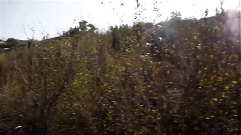 Arabic Sex Videos Xvideos