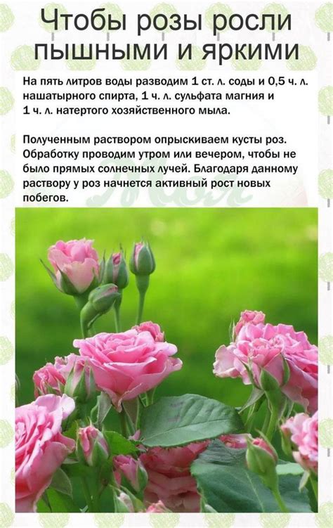 Пин от пользователя Юлия на доске Декор дачи | Садовые арки, Идеи ...