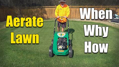 How And When To Aerate Your Lawn Lawn Care