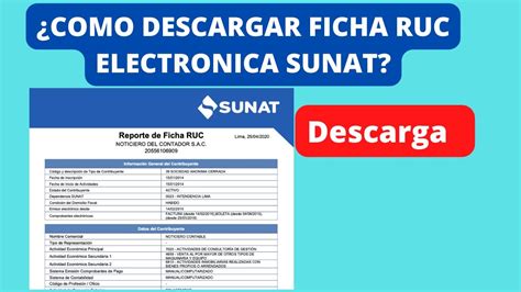 Pasos Para Descargar Ficha Ruc Sunat Youtube