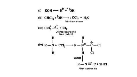 Explain The Following Reactions A Carbylamine Reaction B Sandmeyer Reaction