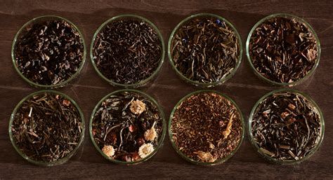 Качество жизни с Татьяной Сабуренковой: 5 причин провести неделю на ...