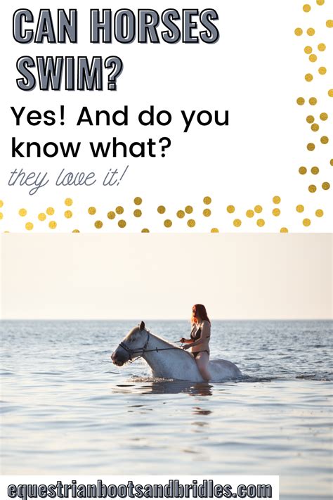 Can Horses Swim Yes They Love It Artofit