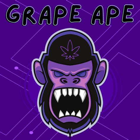 Grape Ape Weed Strain Buy Grape Ape Cannabis In Ontario