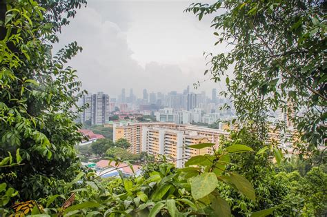 Adventure Before Dementia Last Day In Singapore