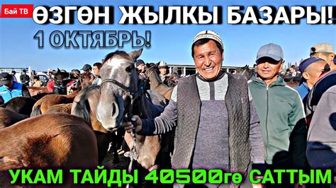 БЭЭ БАЙТАЛ ТАЙ КУЛУН БААЛАРЫ 🤯 #байтв - YouTube