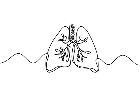 Single Continuous Line Art Of Lungs Lungs Human Organ One Line