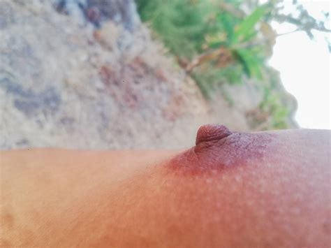 Mis Ricos Pezones De Macho Deliciosas Tetillas Porn Pictures Xxx Photos Sex Images