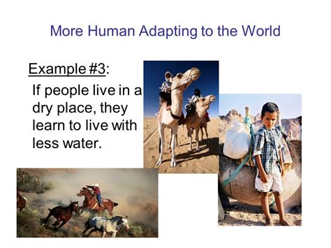 Human Adaptation To Environment