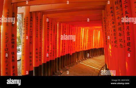 Torii Gate At Fushimi Inari Shrine Stock Videos Footage Hd And K