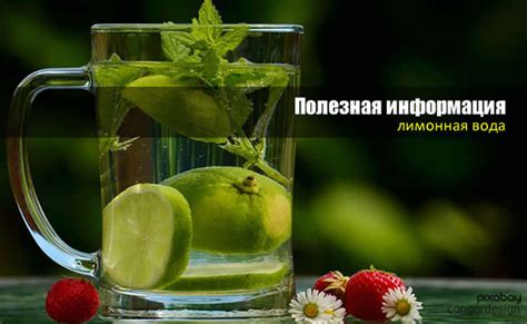 Полезная информация о воде с лимоном