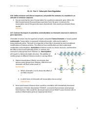 Ch Regulation Of Gene Expression In Eukaryotes Docx Biol