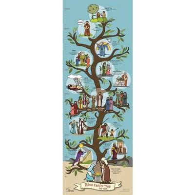 Bible Family Tree Poster (14 inch x 39 inch) - Christianbook.com