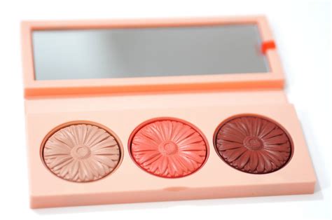 Clinique Warm Up Cheek Pop Blush Palette Review And Swatches Limited