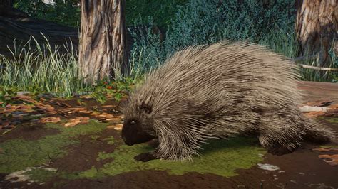 North American Porcupine New Species 113 At Planet Zoo Nexus