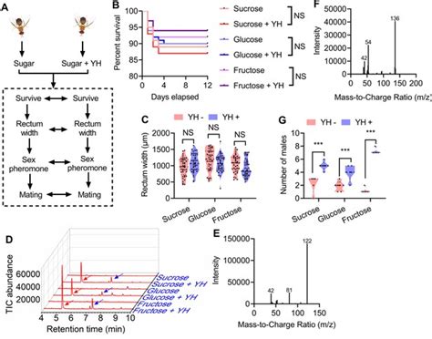 Protein Feeding Mediates Sex Pheromone Biosynthesis In An Insect ELife