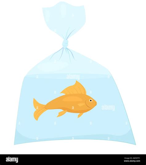 Goldfish Pet In Plastic Bag With Water Animal Transportation Vector