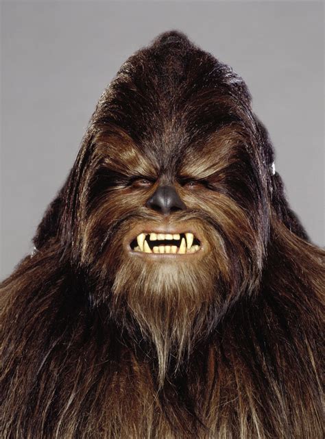 Mis Archivos De Star Wars La Venganza De Los Sith Wookiee Warriors