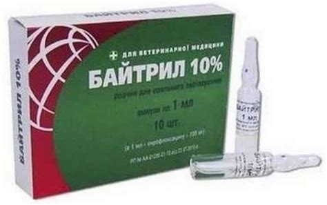 Байтрил для кроликов: инструкция по применению антибиотика