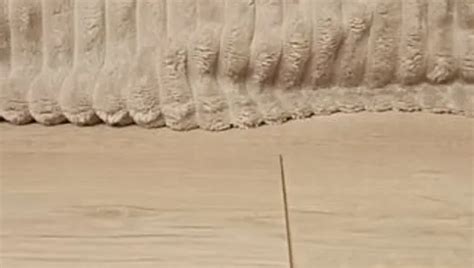 Schätzchen auf einem dildo xHamster