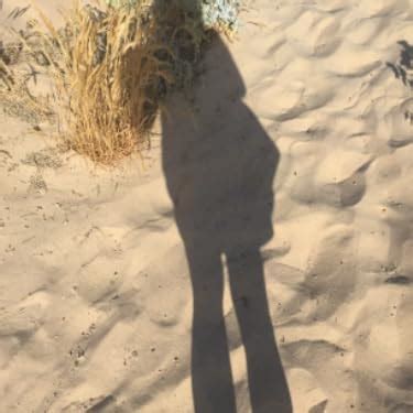 Sixyotie Damen Bikini Sets Hoch taillierte Halter Vintage Badeanzug Plus Größe Push Up