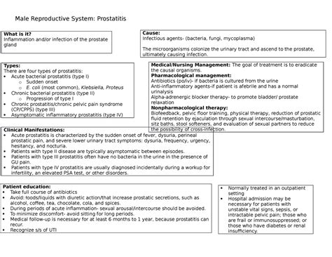 Concept Map Prostatitis Male Reproductive System Prostatitis What Is